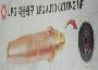 자재이미지
